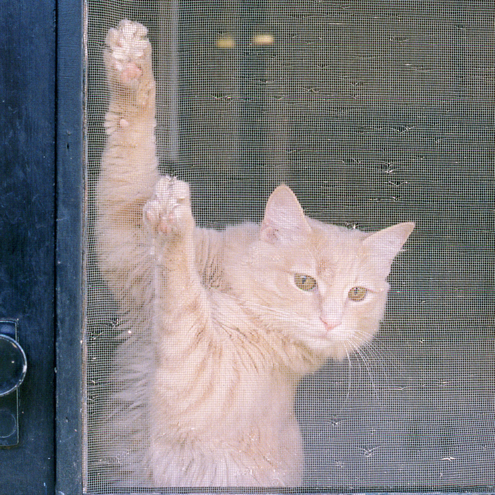 

12pcs Self-Adhesive Window Patches White Strong Adhesive Repair Tape For Mosquito Net Fixing Durable Household Tool Kit Window