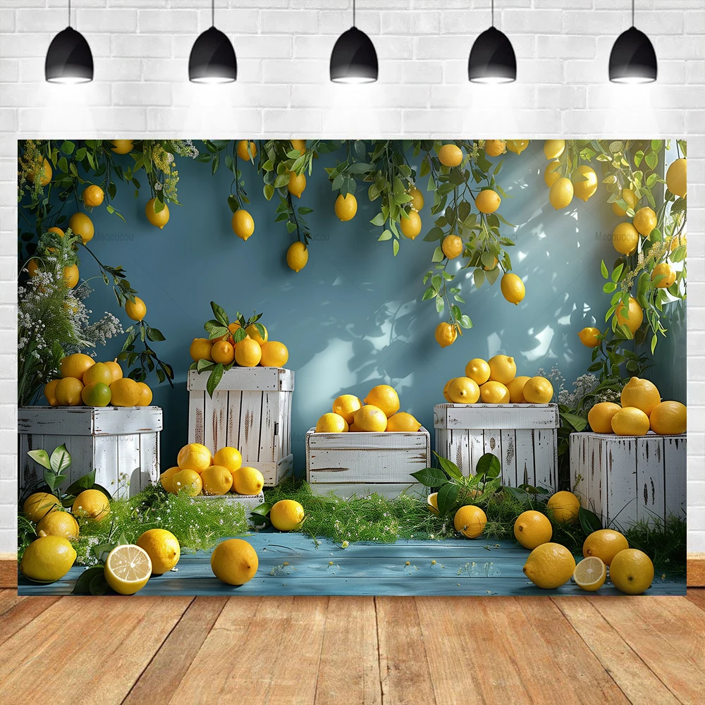 Summer Fruit Photography Backdrop Custom Watermelon Lemon Green Plant Background Child Birthday Party Photo Shoot Props banner