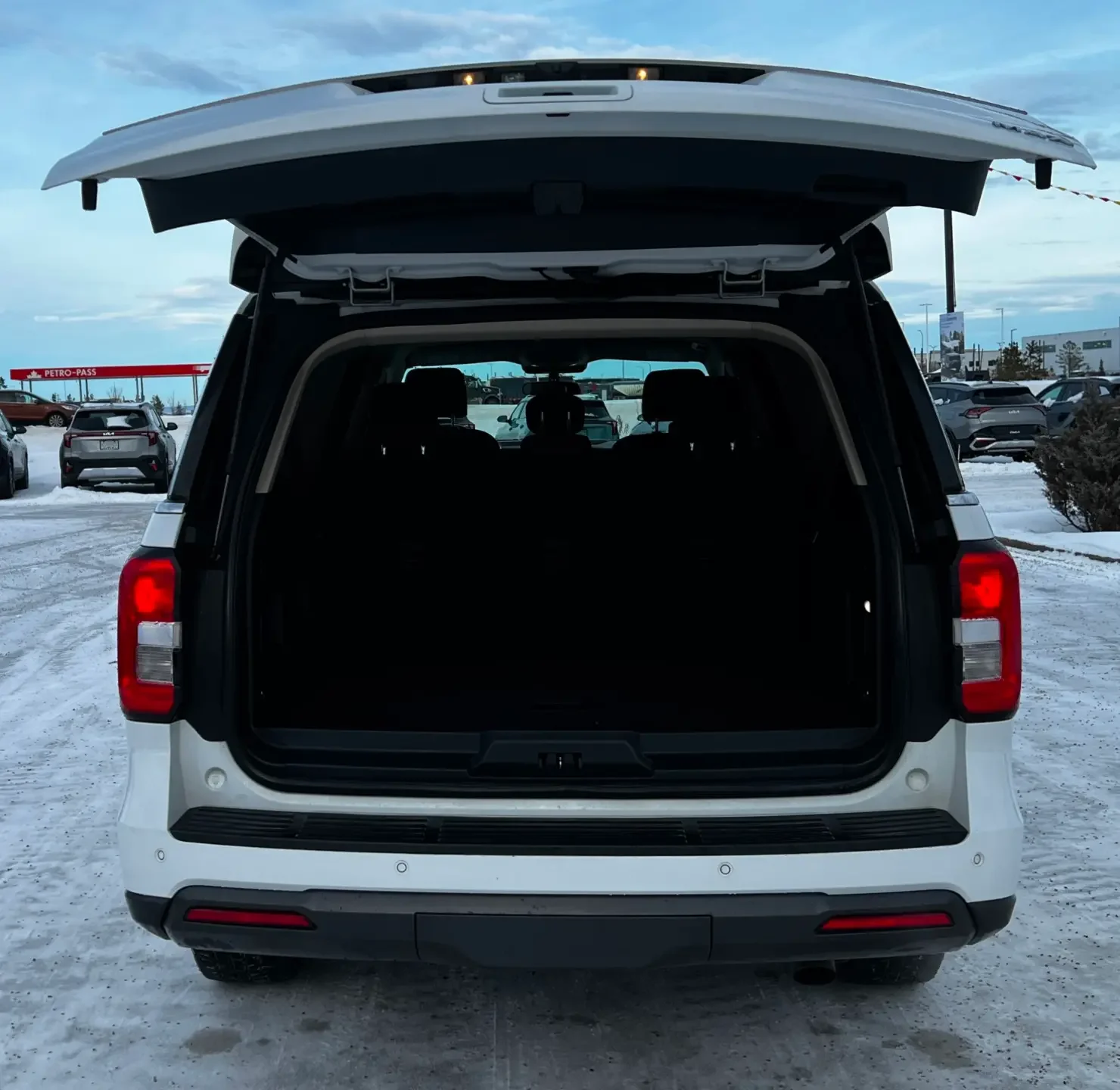 

Автоматические стойки с пружинами для Ford Expedition (U553) 2018-2024 внедорожника, задняя дверь багажника, подъемник багажника, поддержка амортизатора