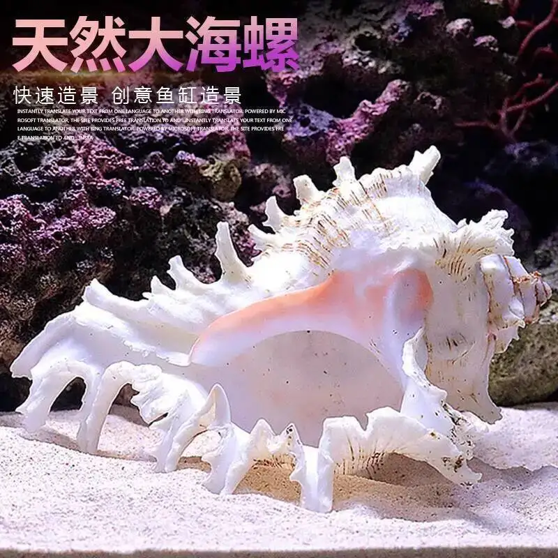 

Бесплатный фрахт、декор для аквариума、Убежище、коряга для аквариума натуральная、декорации для аквариума、коряга для аквариума、аквариумные аксессуары、все для аквариума、декор в аквариум、декорация для аквариума