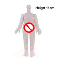 height 11cm