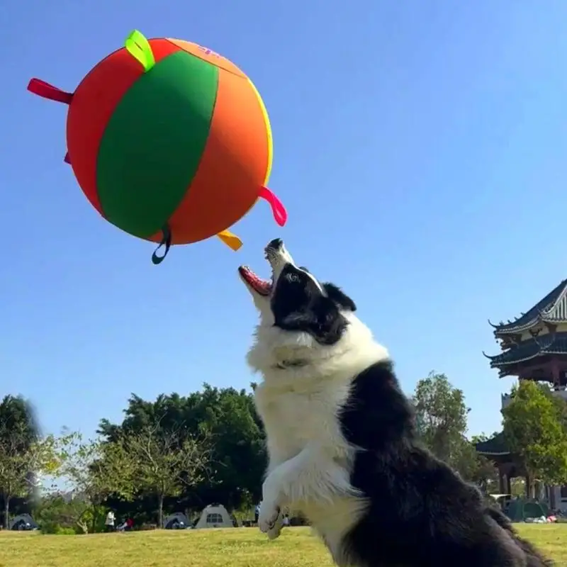 H8WB Pet Toy Herding Ball with Cloth Layer Build, Inflatable Dog Toy Form and Bright Mixed Tone Look with Daily Accessories