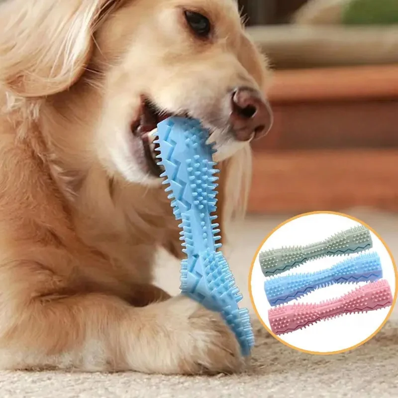 Kausticks für Haustiere, Kauspielzeug für Hunde, Kausticks für kleine und große Hunde, Spielzeug für Haustiere