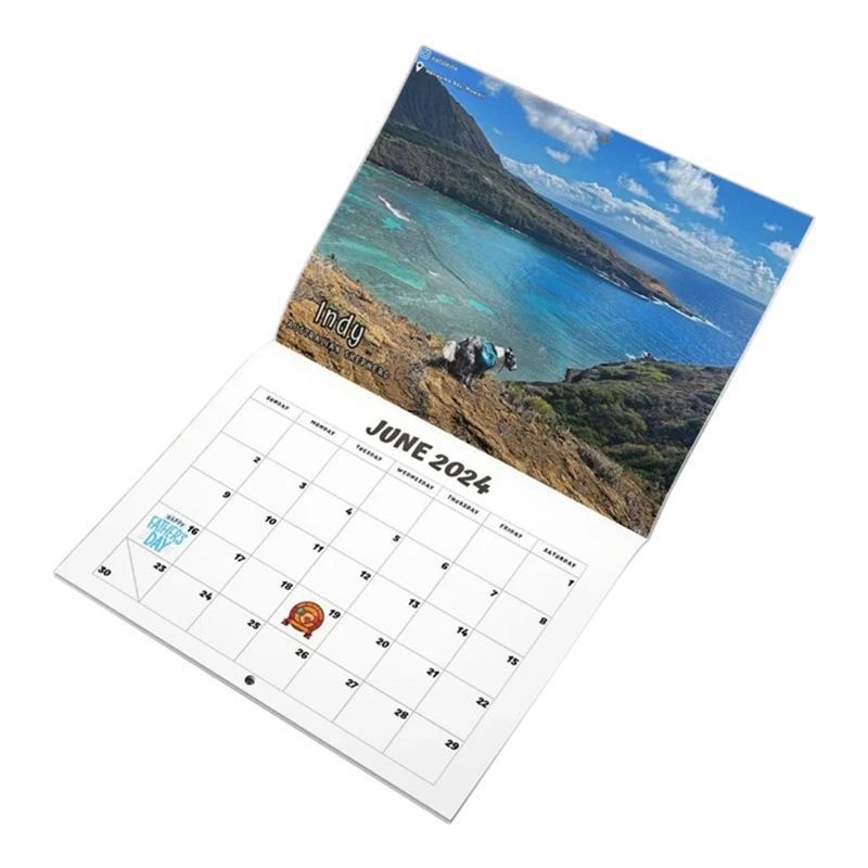 

Dog Pooping In Beautiful Place Calendar 2024, Funny Wall Art Gag Humor Gift Prank Calendar,Gift Calendar For Christmas Durable