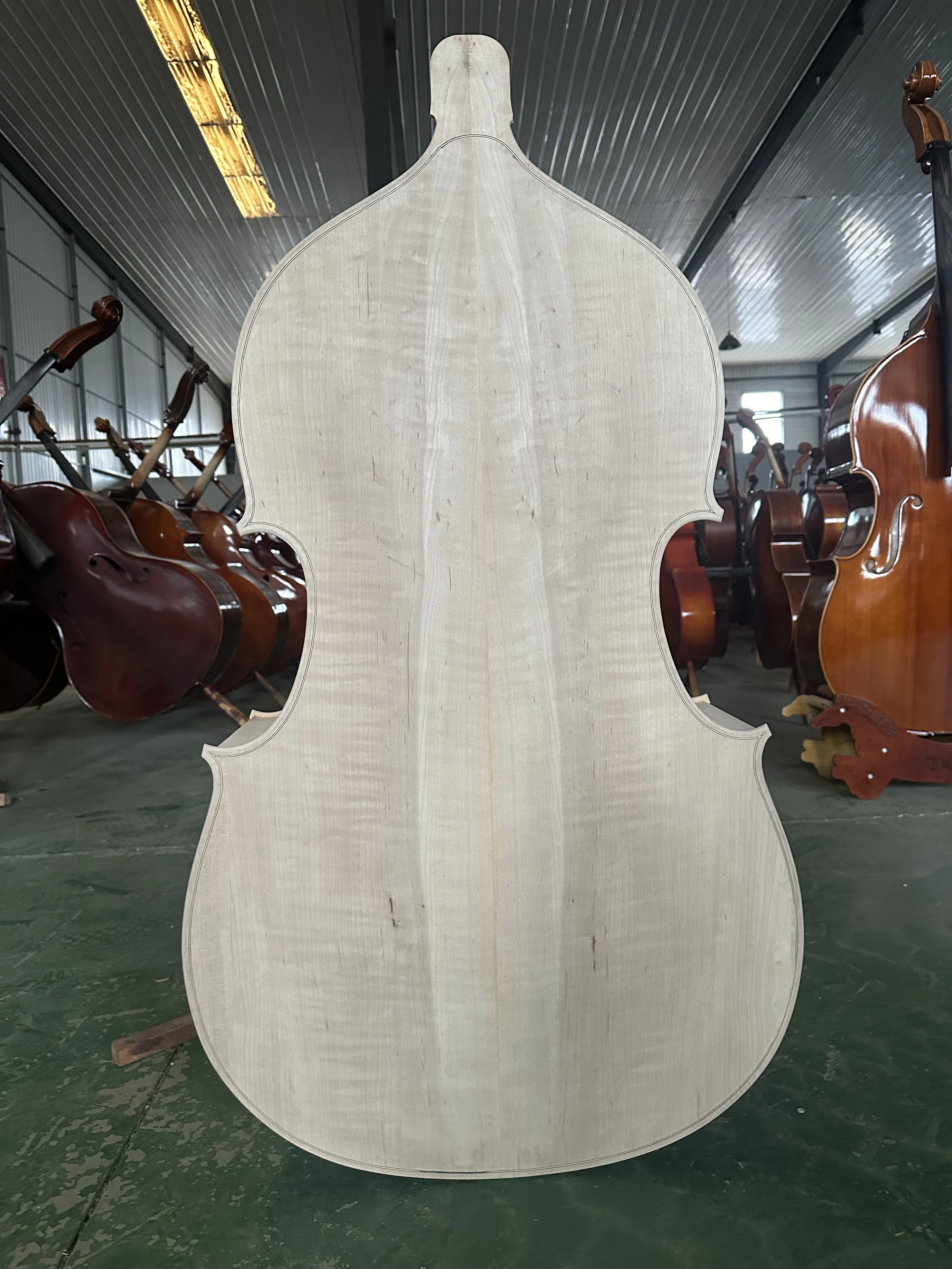 

Handmade White upright Bass, 3/4 Solid Spruce Top, Backlit Maple, larger than Cello