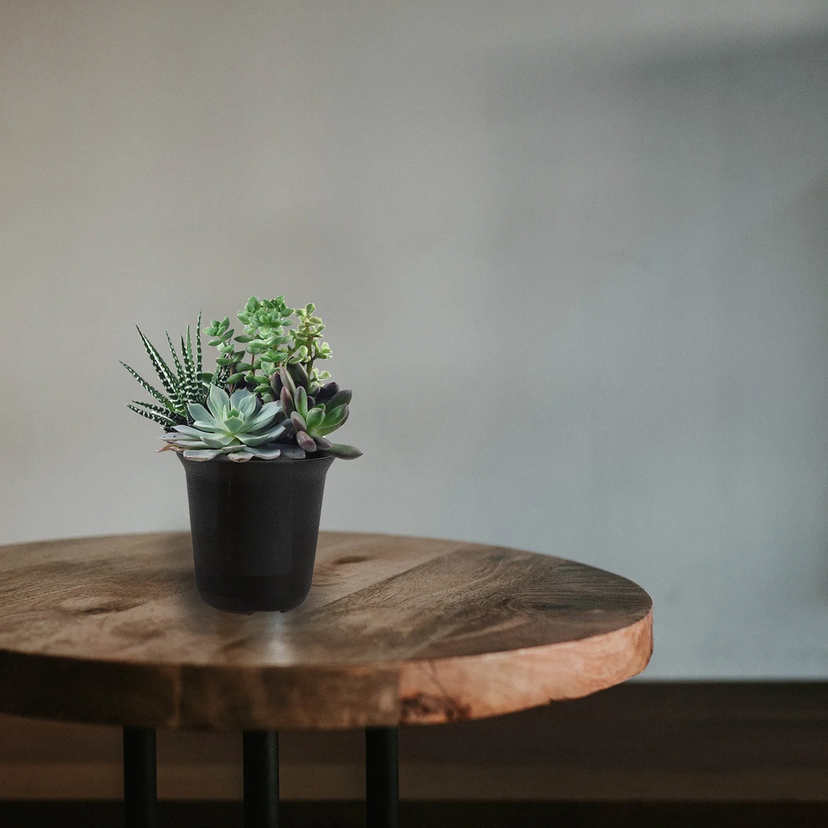 

12Pcs Plastic Succulent Plant Pots with Drainage Holes Thickened Durable Flowerpots for Gardening Nursery Cultivation