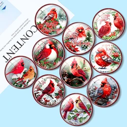 Cardinal Red Bird Christmas DIY 12mm/18mm/20mm/25mm diy Round photo glass cabochon demo flat back Making findings