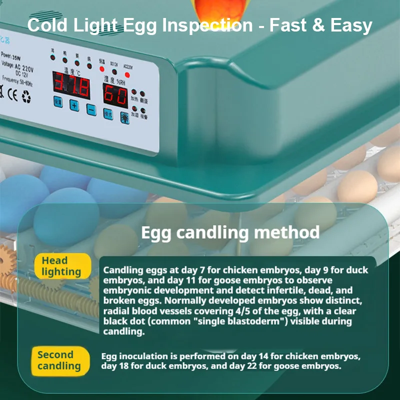 Inkubator Telur Otomatis Pintar Ukuran Kecil Untuk Penggunaan Rumah Tangga, Cocok Untuk Telur Ayam, Bebek, Angsa, Merpati, Puyuh Dengan Pengaduk Otomatis, Pemantau Telur, dan Daya Ganda