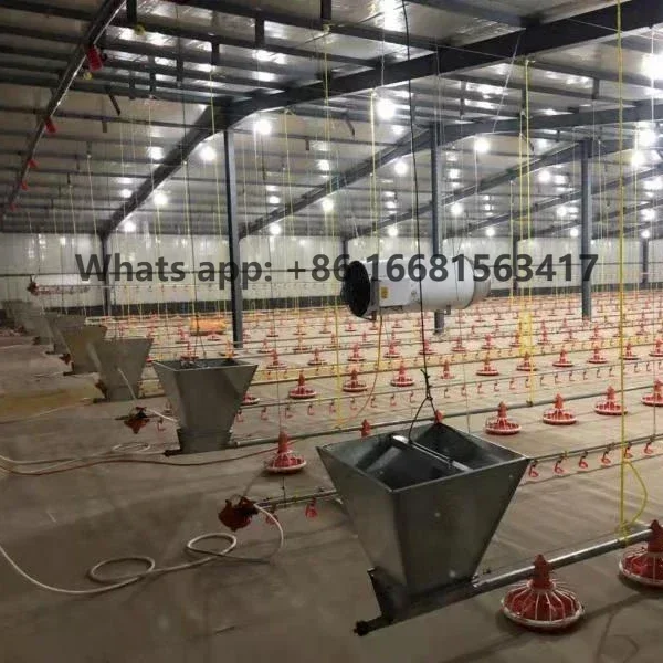 Water Line And Feeding Line (poultry Farming Equipment)