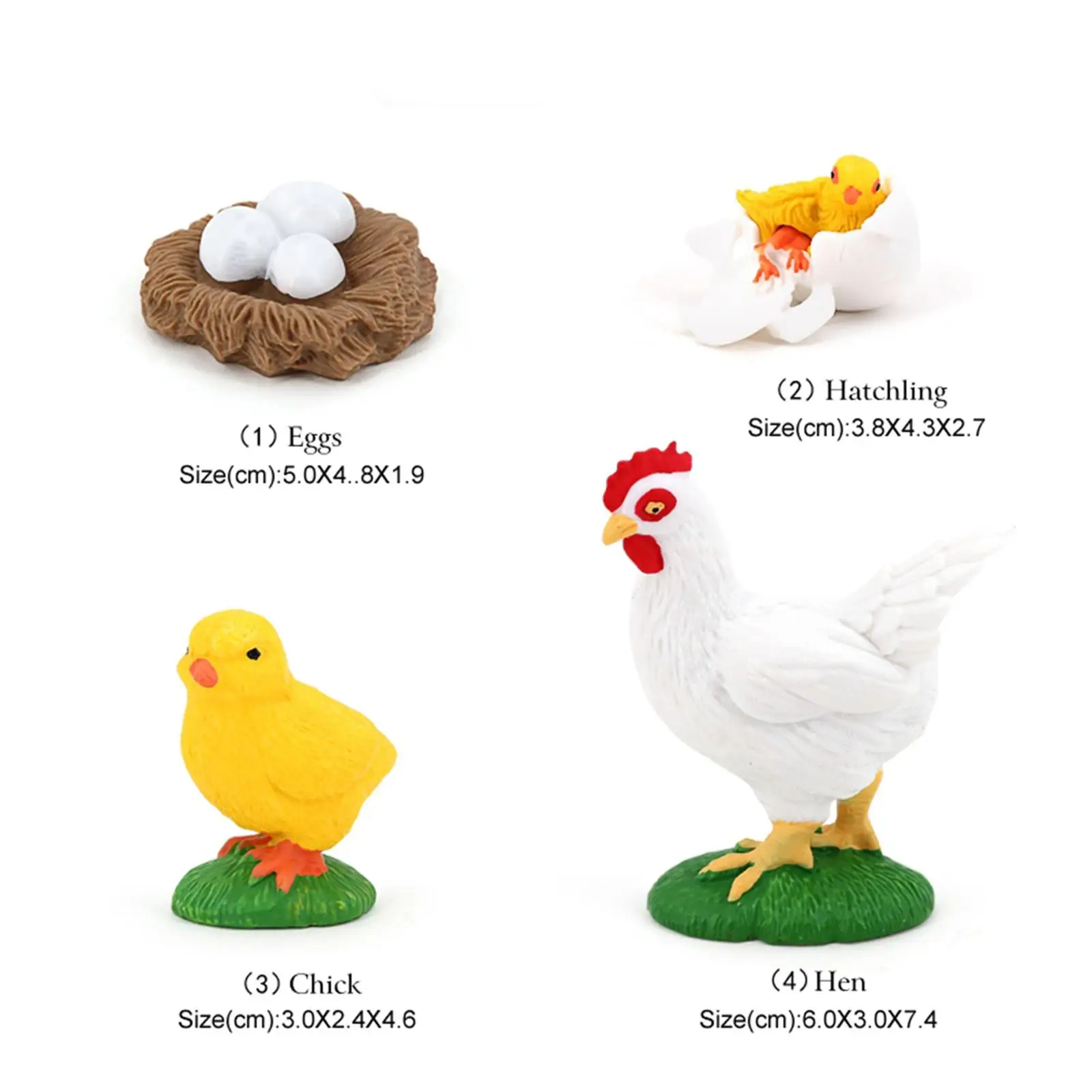 Plastic Growth Life Cycle Figures Child Education Biology Toy