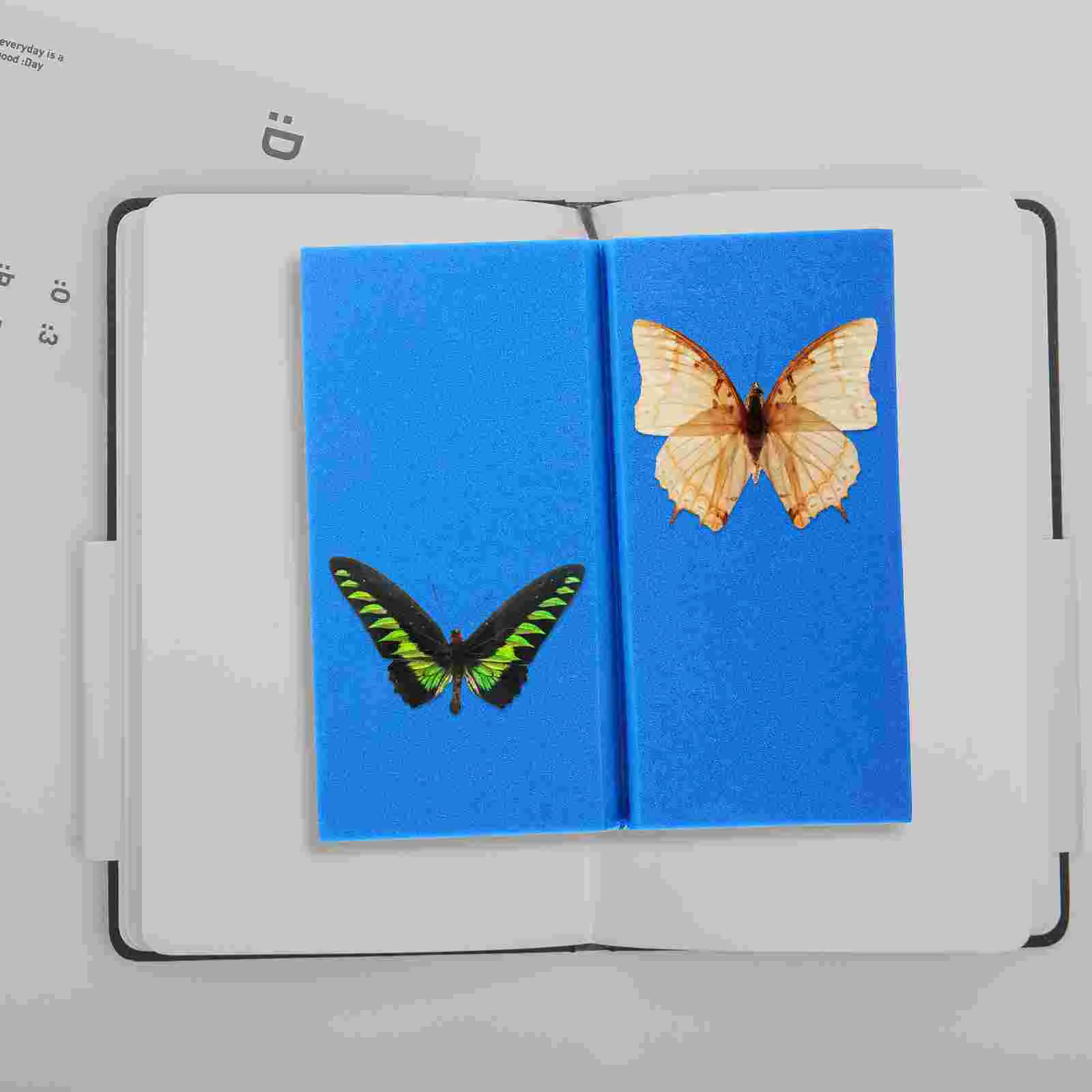 Posture Table Butterfly Specimen Display Board Entomology Kit Insect Pinning High Density Spreading Eva Foam