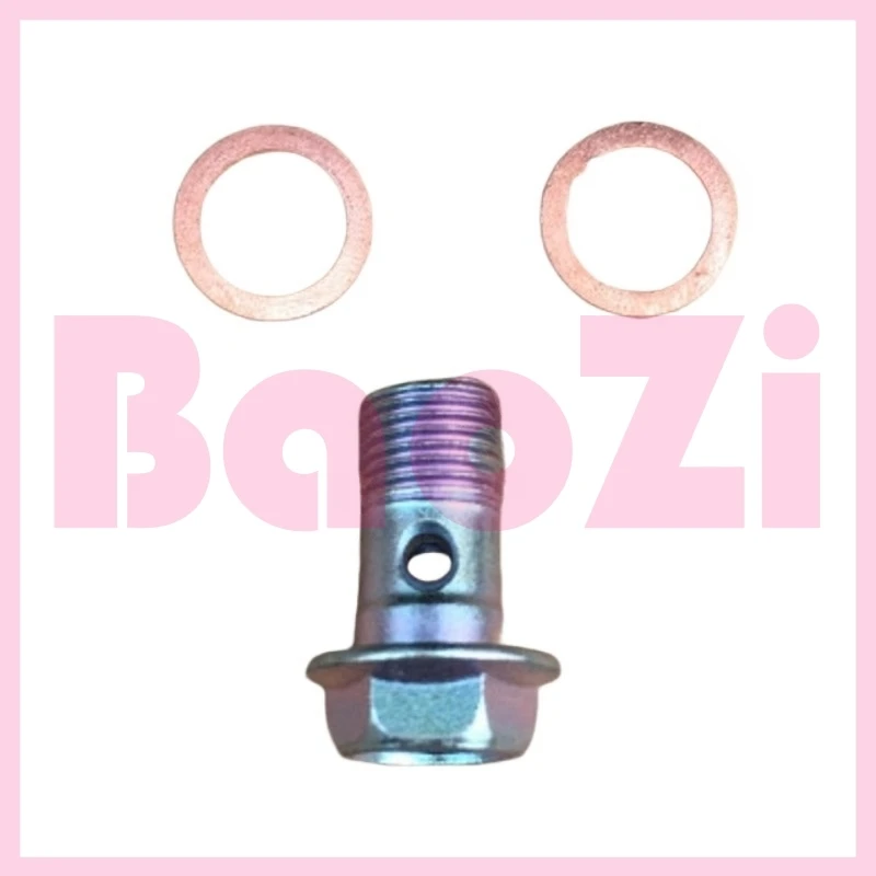 Disc Brake Pipe Screw and Gaskets for Piaggio Byq100t-e Rai Fly Ra1