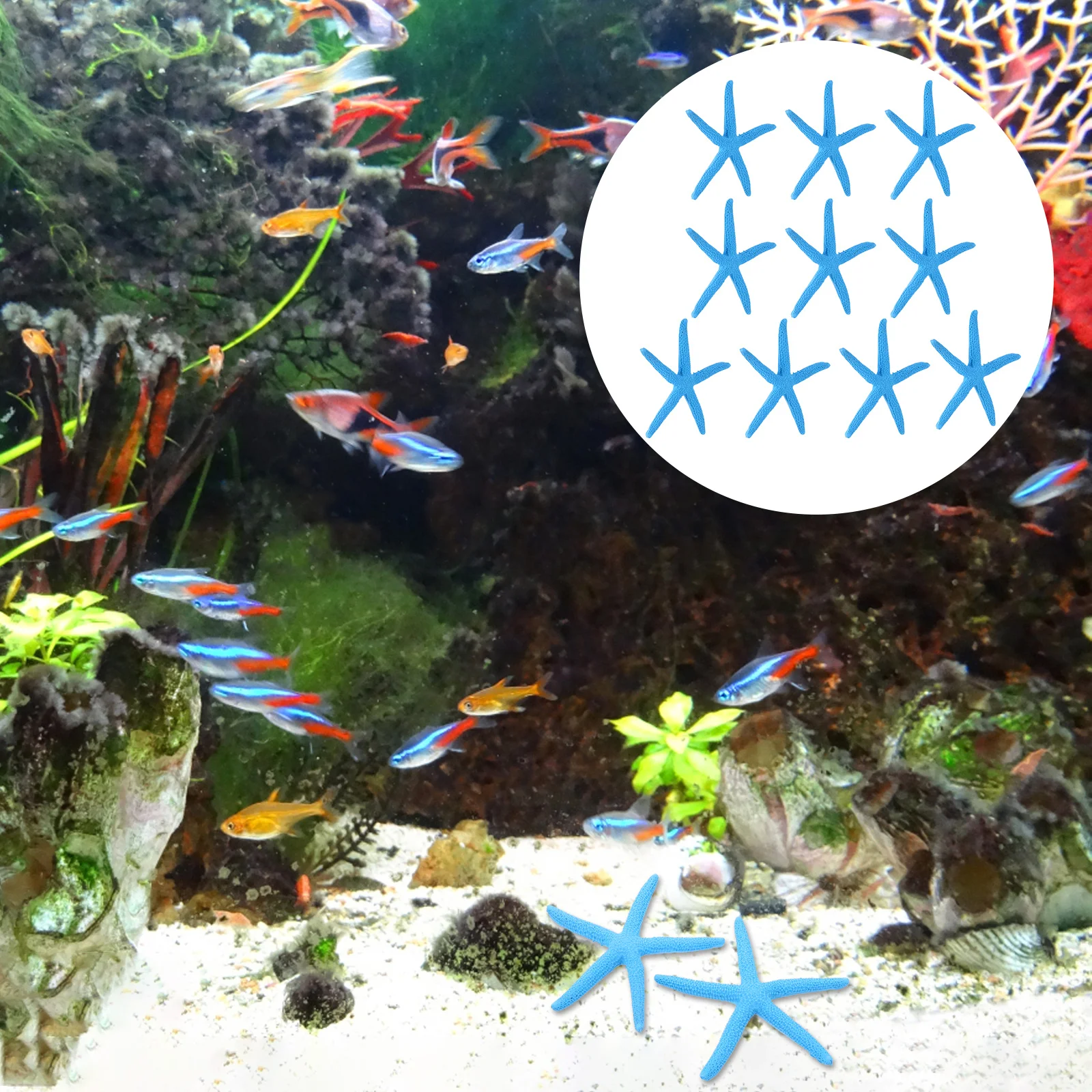 

10Pcs Resin Sea Stars Safe Non Toxic Material Premium Painted Aquarium Ornament Vivid Marine Simulation Decor Sea Stars Ornament