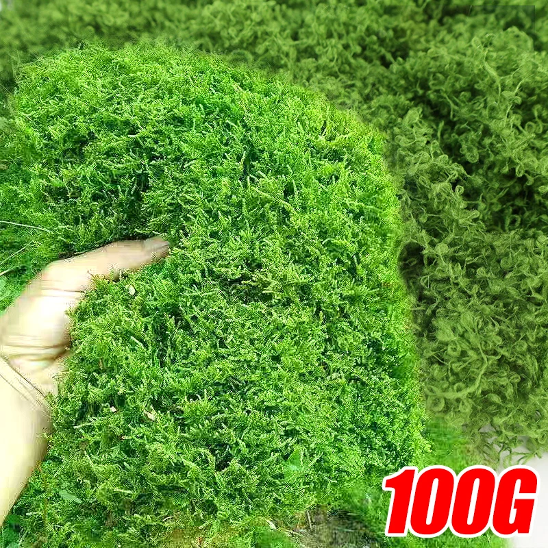 Artificial Plants Eternal Life Green Moss Grass Home Living Room Garden Potting Decoration Mini Landscape Fake Flower DIY Crafts