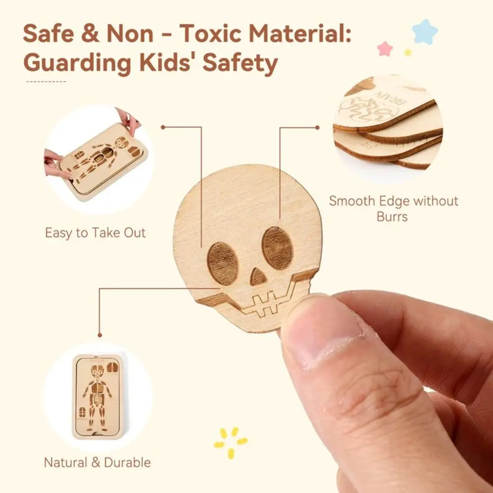 

Jigsaw Design Montessori Jigsaw Puzzle Organ Model Human Structure Anatomy Organ Puzzle Educational Learning Human Structure