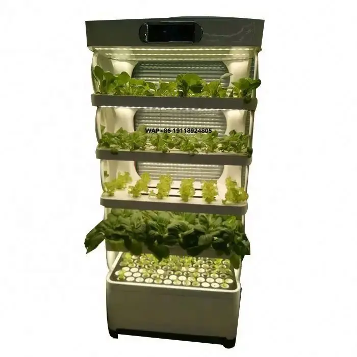 

Home Use Irrigation Hydroponics Equipment for Home Use