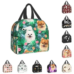 Cane Pomeranian con borsa da pranzo isolata foglia estiva per ufficio scolastico Pet Spitz Resuable Thermal Cooler Bento Box donna bambini