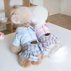 Autumn and Winter Ins Style Pet Clothing Cat and Dog Clothing Plaid Skirt with Pet Shirt Couple Set  Puppy Clothes Dogs Costume