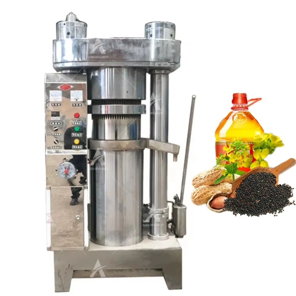 Large Capacity Olive Press Machine Small Olive Oil Cold Press Machine Avocado Coconut Oil Olive Oil Press for Sale