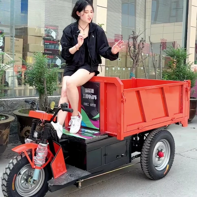 New 3 Wheel Cargo Electric Mini Dump Truck for Adult Material Transport and Retail Passengers