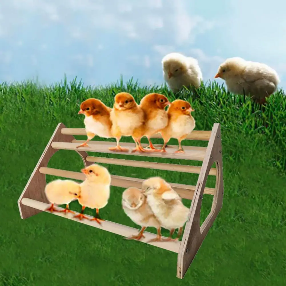 Chicken Perch Stand Universal Multifunctional Chicken Perch Stand Balancing Anti-biting Chicken Nesting Stand for Yard