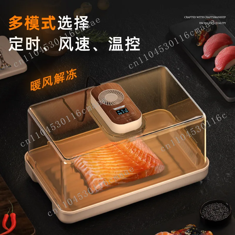 Intelligent Warm Air Defroster with Constant Temperature and Fast Thawing Function for Food Preservation