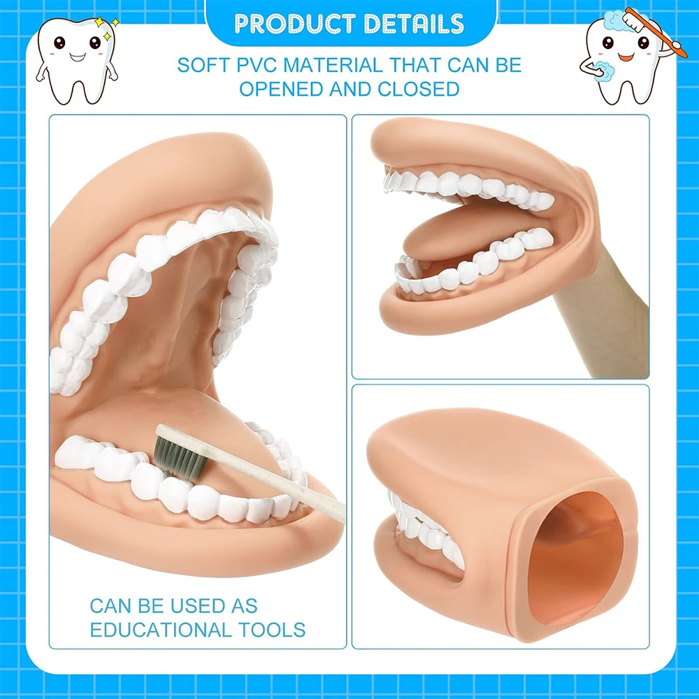 28 Teeth Dental Mouth Hand Puppet With Tongue Teaching Silicone Model For Speech Therapy Kids Learning Resource For Children