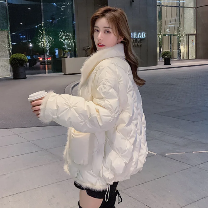 Jackets for Women 2024 New Outerwears Embroidery Splicing Fashion Down Jackets Light Standing Collar Short Winter Coat Female