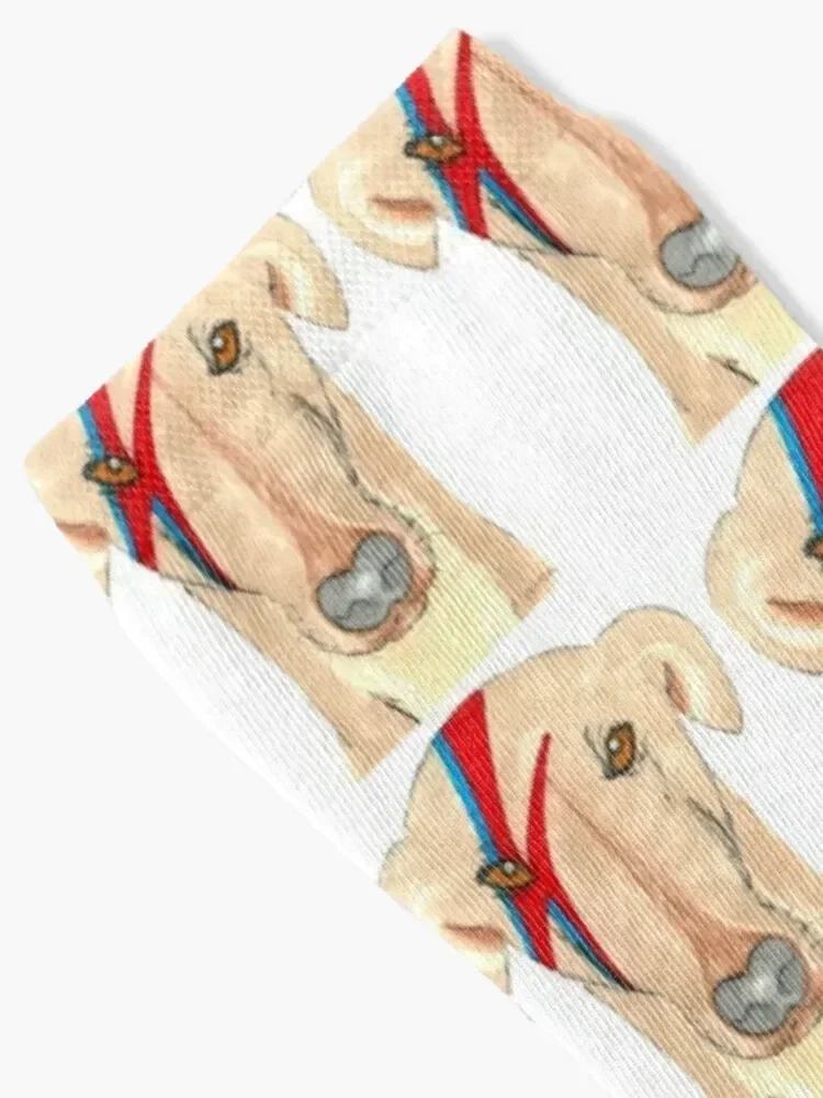 Ziggy Stardog - Greyhound Socks man retro Lots Socks Men Women's