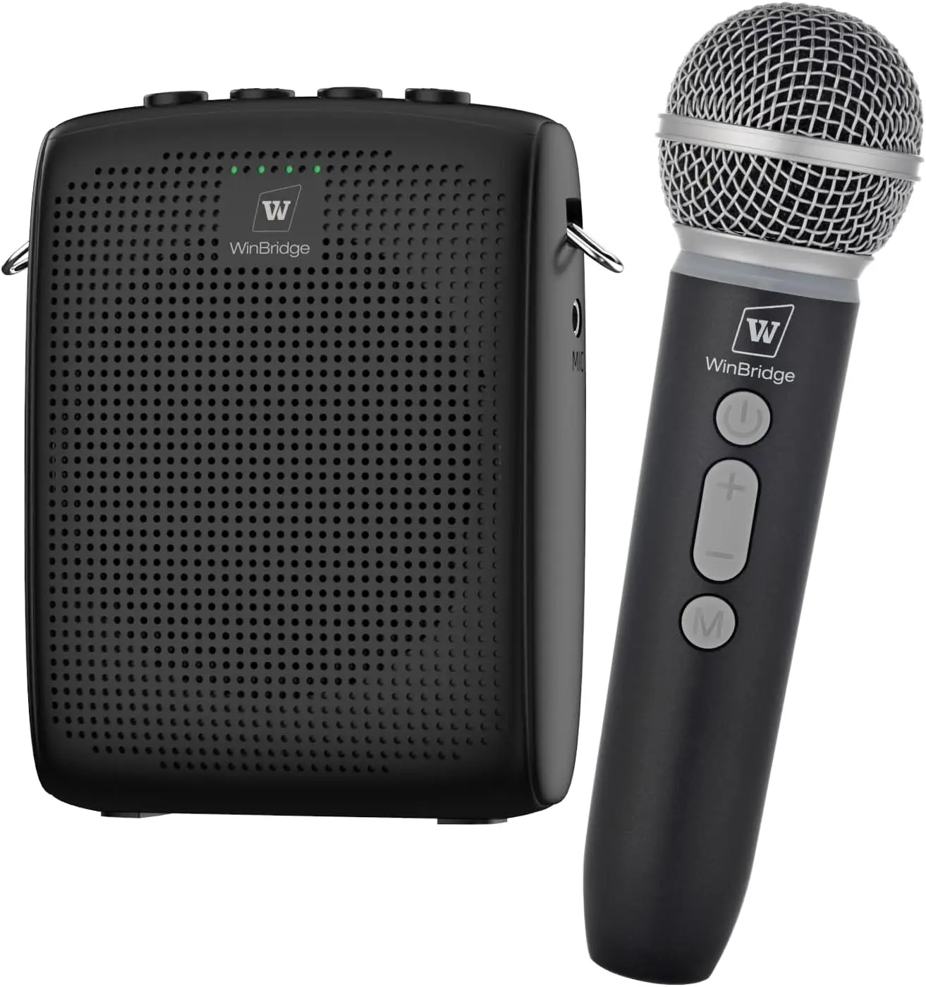 

Wireless Voice Amplifier with Bluetooth Mic, Portable PA System for Teachers, Classroom & Outdoor Speaking