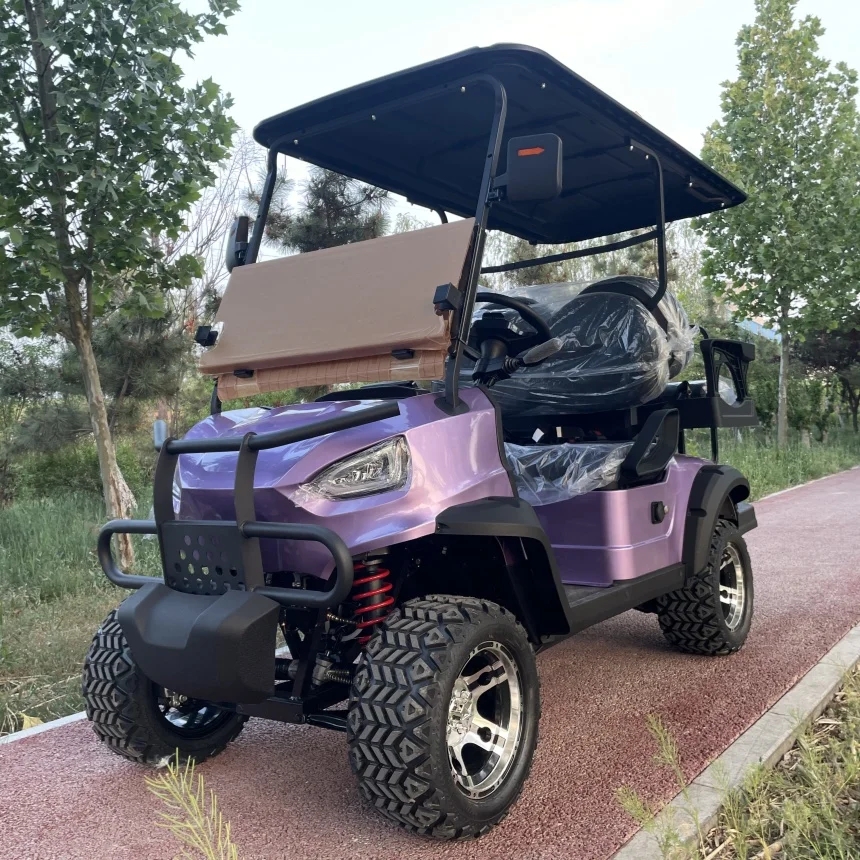 

Dylante Manufacturer Affordable 2 4 6 Seats Electric Golf Cart Hunting Cart With Roof Ambient Light
