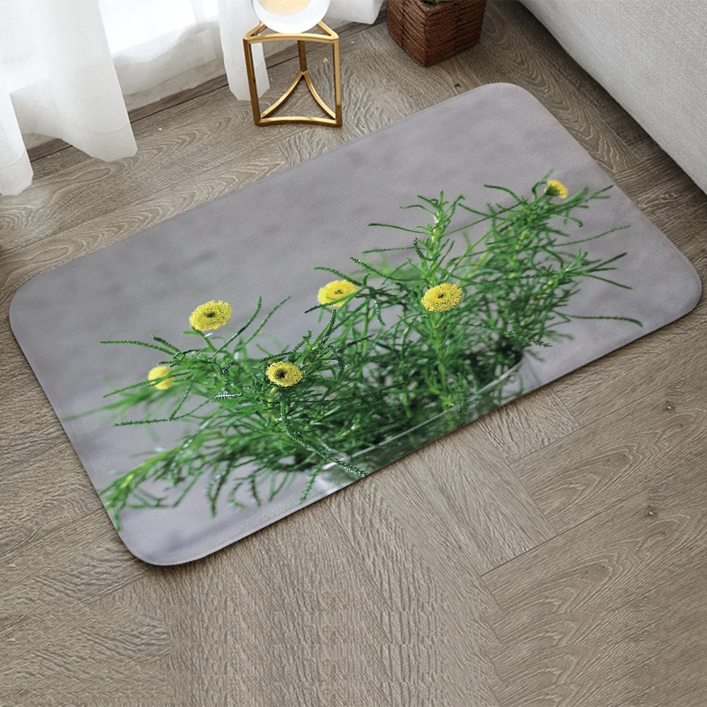 Carpets Mat Out Door Carpet for Kitchen Decoration Home Decor Items Welcome Offers Floor Rug Bathroom Mats Room Rugs Customized