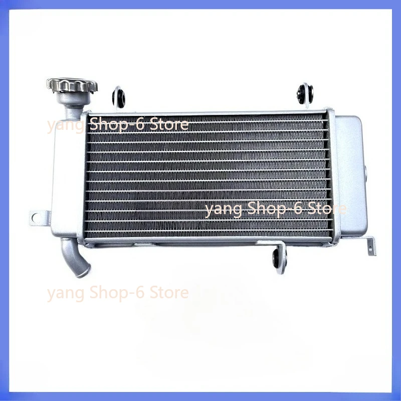 Motorcycle Engine Parts Water Cooler Radiator For Keeway 125cc RKF125 RKF 125