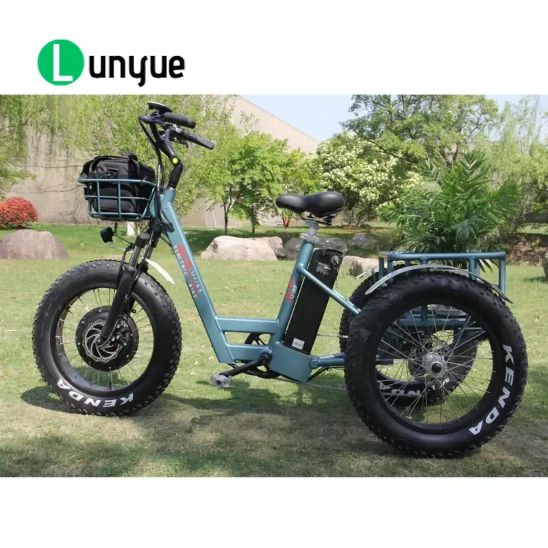 New Frame Front Hub Motor 3 Wheel Fat Tire Electric Bike Pedal Assist Cargo E Bicycle for Adult Commuting Delivery