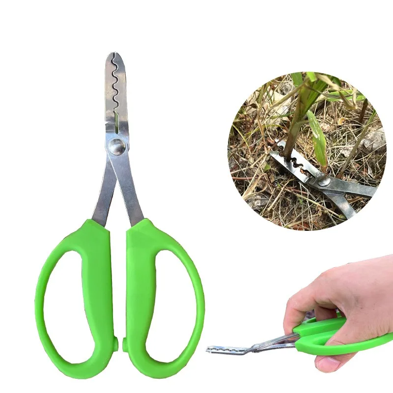 1PC Multifunctional Potted Plant Weeding Thorn Removal Scissors Pulling Scissors Small Bonsai Miniature Thumb Pot Rose Tongs