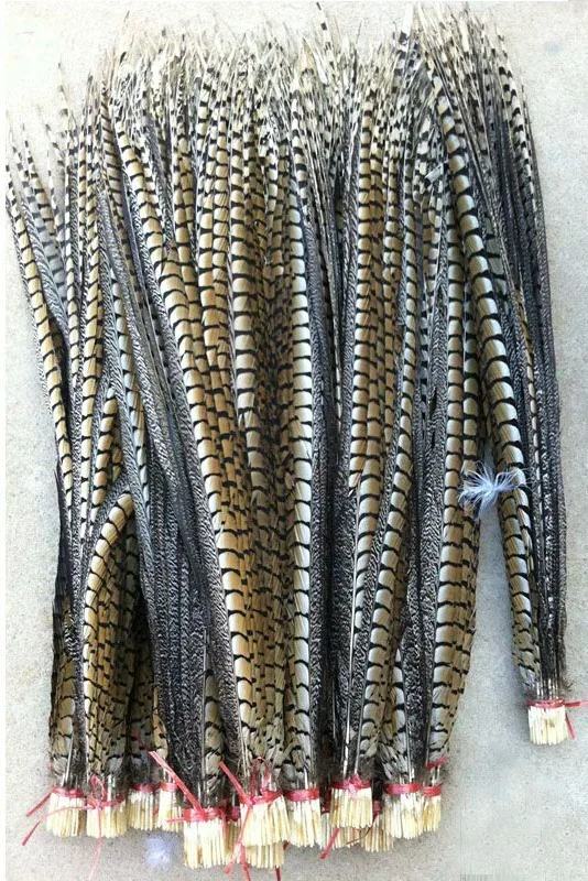 

10Pc 100-110cm Long NATURAL Lady Amherst Pheasant Side Tail Feathers for Celebration Decoration Stage Performance Diy Symmetry