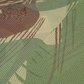 Rhodesia