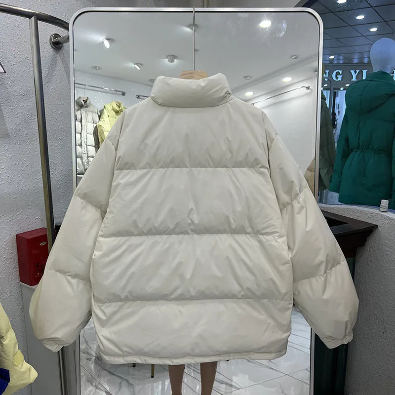 Veste d'hiver décontractée pour femme, mode coréenne, manteau chaud court, coton solide, optique, col montant, parkas en duvet, 2023