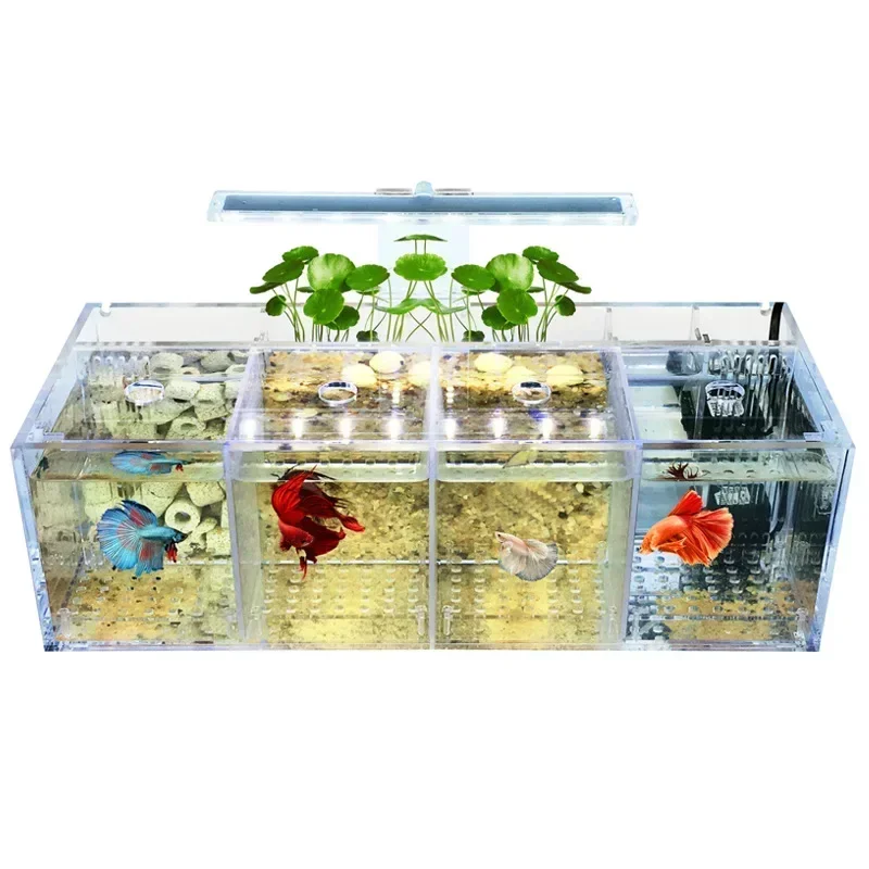 Aquarium Acrylic Isolation Fish Tank Multi-grid Stacking Transparent Breeding Box Goldfish Fighting Fish Ornamental Fish Box