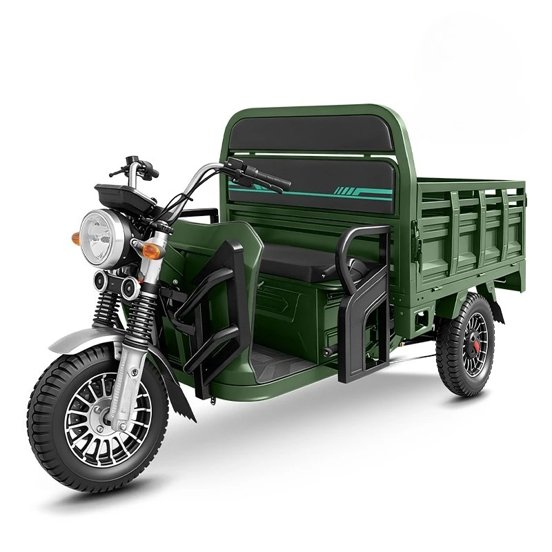 60V 1000W Electric Cargo Tricycle 3-Wheeler Closed Body Trike with High Load Capacity for Mountainous Areas