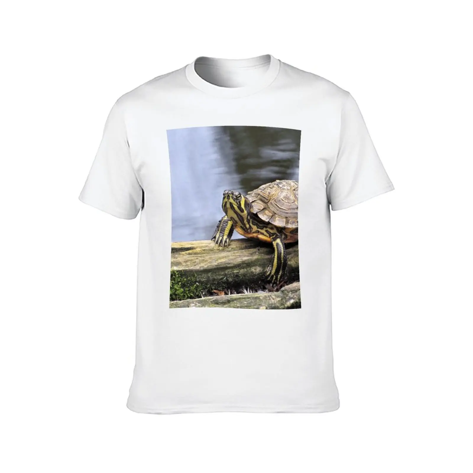 Grumpy turtle T-Shirt anime cute clothes affliction shirts men t shirt