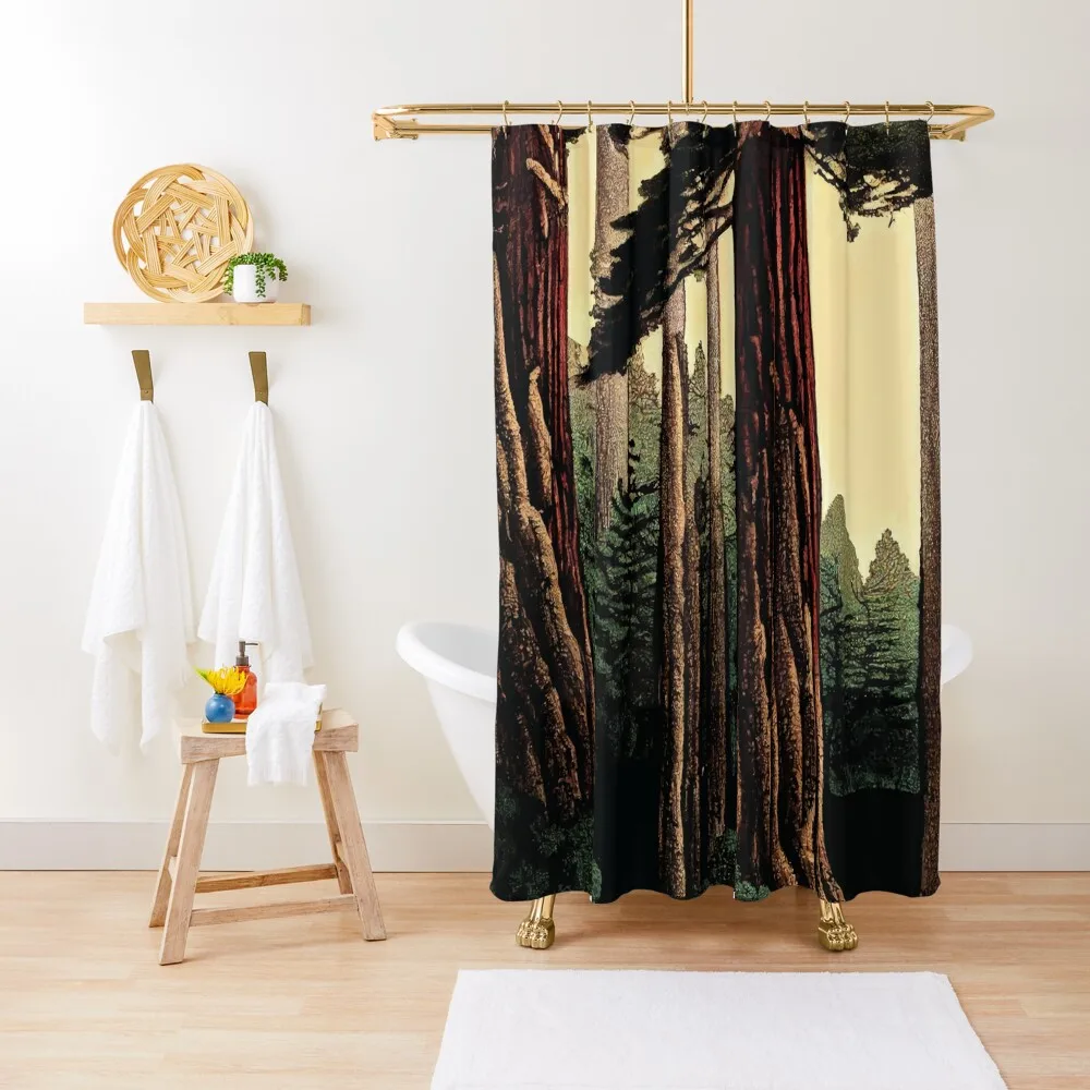 

Sequoia Sempervirens, the Coast Redwood Shower Curtain Bathroom Decor Bathroom Accessorys Bathroom Shower Deco Curtain
