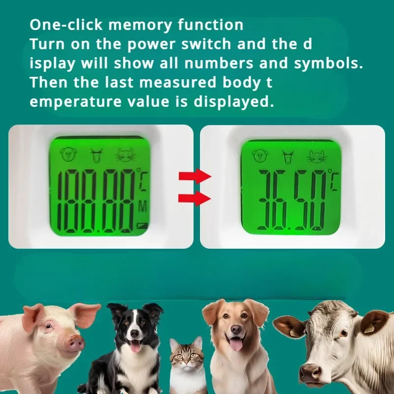 Thumbnail 3 - #20 Cheap Pet Thermometers Worth Buying