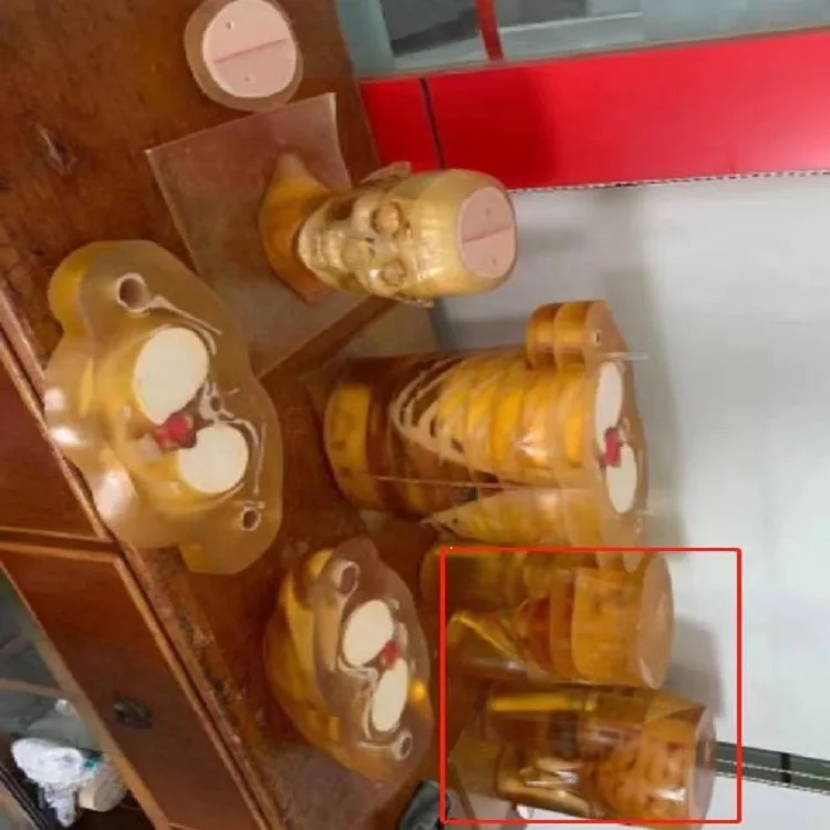 Model somatik pelatihan USG