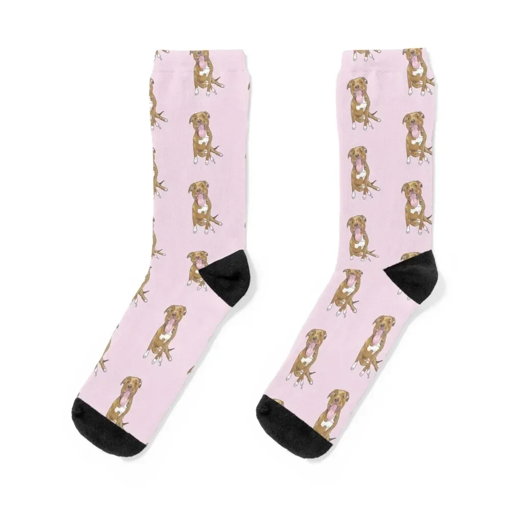 

Pitbull Terrier Mix Socks cute designer anime Man Socks Women's