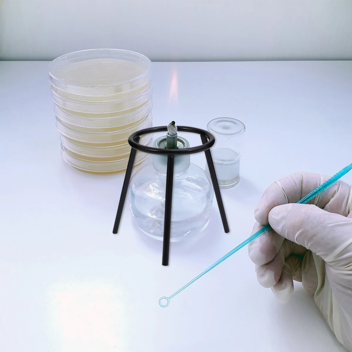 

2pcs Tripod Heavy Duty Lab Support Black Light Flame Alcohol Lamp Alcohol Lamp Support St Iron Beaker School