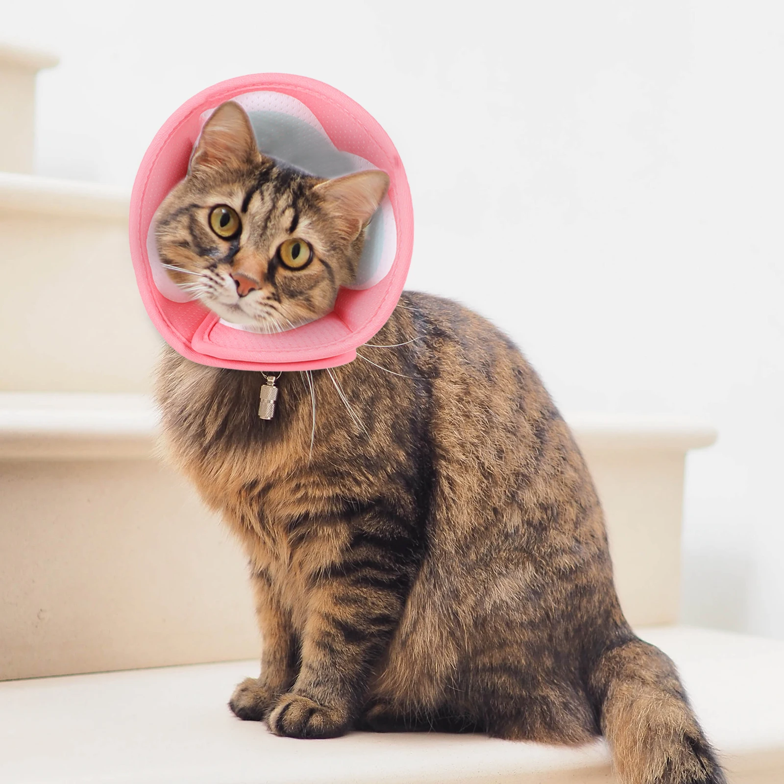 

Adjustable Pet Collar Cat Surgery Lightweight Recovery Cones Net Soft Kitten Collars