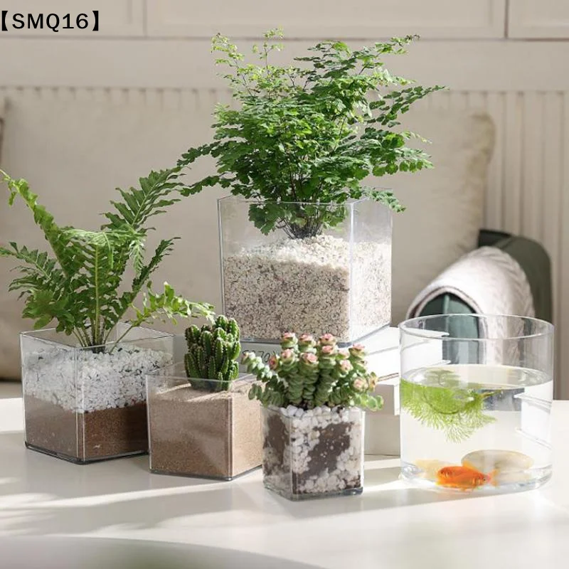 Vasi per piante in acrilico tr - Bonsai Garden Nursery recensione e prezzo