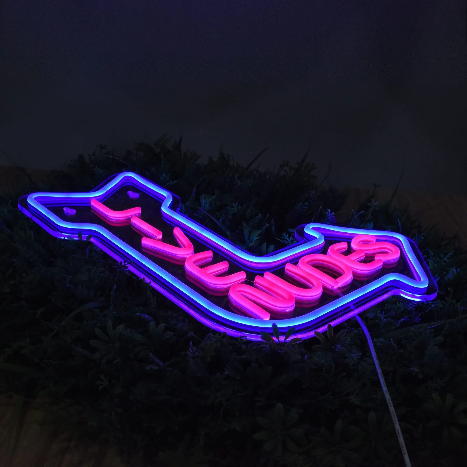 

Neon Sign for Wall Decor Home Art Neon Light LED Neon Lights Signs with Dimmer for Bedroom Pub Cafe Recreation Room Sign