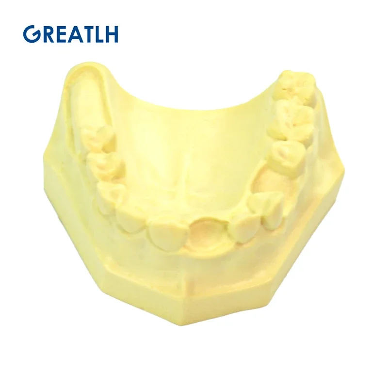 Dental Maxillary Sinus Lifting Exercise Model Dental Implant Practice Model for Practice Teaching Dental Instrument